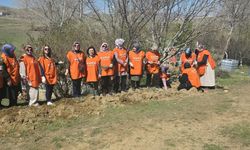 KADEM Yozgat’tan Kuraklığa Karşı Anlamlı Adım: Lavanta Dikimiyle Çevre Bilinci Güçlendirildi