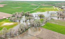Yozgat’ta Tarım arazileri sular altında