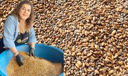 ÇEKOOP’tan Geleneksel Lezzet Rüzgarı: Kavurga