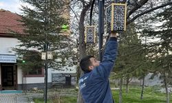 Boğazlıyan Yapalak Köyü Camisi Işıl Işıl Oldu