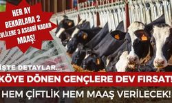 Köye Dönüşte Maaş Ne Kadar? 3 Asgari Ücret Ve Çiftlik Desteği Detayları