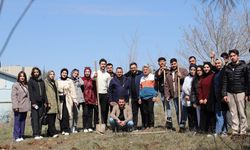 Yozgat MYO’da Ağaç Dikme Etkinliği: Öğrencilerden Doğaya Anlamlı Katkı
