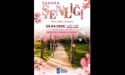 Ankara Dikmen Vadisi’nde Sakura Şenliği: Kadınların Renkli Bahar Buluşması Başlıyor