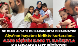 Alya İçin Zaman Daralıyor: Valilik İzinli Kampanyada Son 67 Gün