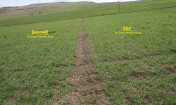 Yozgat’ta Tarımsal Verimlilik İçin 3 Çeşit Arpa Demonstrasyonu Gerçekleştirildi