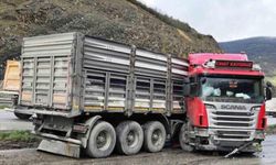 Tır Makasladı: Kaygan Yolda Feci Kaza, Sürücü Yaralandı