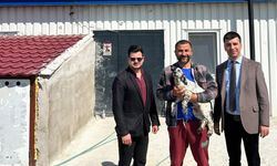 Şefaatli MYO’da Görev Köpeği Envanterine BozokSetter Bozok Katıldı