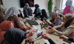 KADEM’den Kadınlara Üretim Desteği: Butik Kaktüs ve Teraryum Eğitimi Düzenlendi