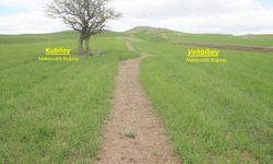 Yozgat’ta Makarnalık Buğdayda Verim Denemeleri Başladı