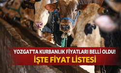 Yozgat Kurbanlık Fiyatları Ne Kadar? Büyükbaş ve Küçükbaş Güncel Fiyat Listesi 2026