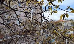 Yozgat’ta Zirai Don Alarmı: Çiftçilere Kritik Uyarı Yapıldı, Tarımsal Üretim İçin Risk Kapıda