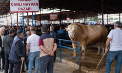 Kurbanlık Fiyatlarında Şaşırtan Fark! Yozgat mı Çorum mu Daha Ucuz?