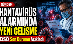 Hantavirüs Alarmında Yeni Gelişme: DSÖ Son Durumu Açıkladı