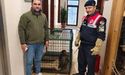 Yozgat’ta Köy Yolunda Bulundu: Jandarma ekiplerini harekete geçirdi