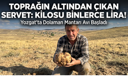 Yozgat’ta Toprağın Altından Çıkan Servet: Kilosu Binlerce Lira!