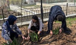 Akdağmadeni Huzurevi Baharı Çiçeklerle Karşıladı
