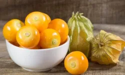 Altın Çilek Nedir? Nerede Yetişir, Faydaları ve Kullanım Alanları Nelerdir?