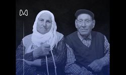 Boğazlıyan’ın Asırlık Çınarı'ndan acı haber