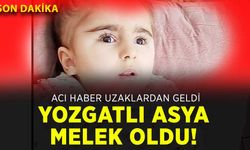 Fransa’dan Çayıralan’a acı haber: Minik Asya Melek oldu