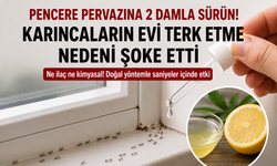 Pencereye Sadece 2 Damla! Karıncalar Bir Anda Evi Terk Ediyor