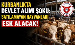 Kurbanlıkta Son Dakika Kararı: Satılamayan Hayvanları Devlet Alacak!