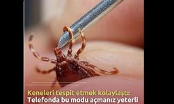 Yozgatlılar Dikkat! Bu Özellik Kene Tespitini Kolaylaştırıyor