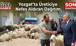 Yozgat Sarıkaya’da “Sağlıklı Koçlarla Kan Değişimi Projesi” ile 60 Üreticiye Damızlık Koç Dağıtıldı