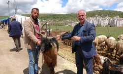 Yozgat Hayvan Pazarında Kurbanlık Yoğunluğu Besiciler ve Vatandaşlar Arasında Sıkı Pazarlık Sürüyor