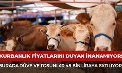 Kurbanlık Fiyatları Şaşırttı: Düve ve Tosunlar 45 Bin TL’den Satışa Çıktı