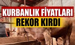 2026 Kurbanlık Fiyatları Rekora Koşuyor! Büyükbaş 400 Bin TL Küçükbaş 50 Bin TL'yi Gördü