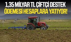Çiftçi Destek Ödemeleri Başladı: 1,35 Milyar TL Hesaplara Yatıyor