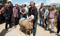 Yozgat’ta 3 Milyon TL’lik “Sağlıklı Koçlarla Kan Değişimi Projesi” Hayata Geçti