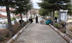 Saraykent Belediyesi’nden Kurban Bayramı Öncesi Mezarlıklarda Temizlik ve Bakım Seferberliği