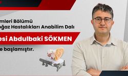 Yozgat Bozok Üniversitesi Hastanesi KBB Kadrosunu Güçlendirdi: Dr. Öğr. Üyesi Abdulbaki Sökmen Göreve Başladı