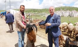Yozgat Canlı Hayvan Pazarında Kurbanlık Hareketliliği Artıyor