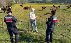 Yozgat’ta Bayram Öncesi Kritik Uyarı! Jandarma Dolandırıcılık Tehlikesine Karşı Harekete Geçti
