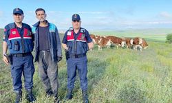 Yozgat’ta hayvanları kaybolan vatandaşın imdadına Jandarma yetişti