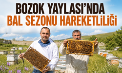 Bozok Yaylası’nda Bal Sezonu Hareketliliği