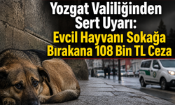 Yozgat Valiliğinden Sert Uyarı: Evcil Hayvanı Sokağa Bırakana 108 Bin TL Ceza
