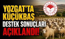 Yozgat'ta Küçükbaş Destek Sonuçları Açıklandı! Hak Sahipleri Belli Oldu