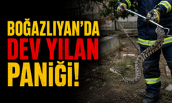 Yozgat Boğazlıyan’da Dev Yılan Paniği! Bahçede Görülen 2 Metrelik Yılan Yakalandı