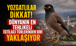 Yozgatlılar Dikkat! Dünyanın En Tehlikeli İstilacı Türlerinden Biri Türkiye’ye Yaklaşıyor
