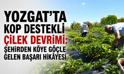 Yozgat’ta KOP Destekli Çilek Devrimi: Şehirden Köye Göçle Gelen Başarı Hikâyesi