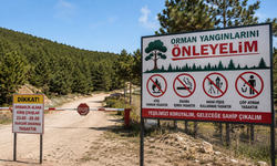 Yozgat’ta Ormanlara Yeni Yasaklar Eklendi! Gece Girişi ve Havai Fişek Dönemi Bitti