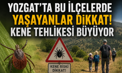 Yozgat'ta Bu İlçelerde Yaşayanlar Dikkat! Kene Tehlikesi Büyüyor