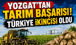 Yozgat'tan Tarım Başarısı! Türkiye İkincisi Oldu