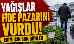 Yağışlar Fide Pazarını Vurdu: Ekim İçin Son Günler
