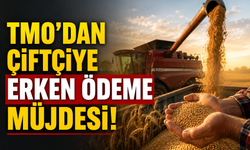 TMO’dan Çiftçiye Erken Ödeme Müjdesi: Takvim Değişiyor