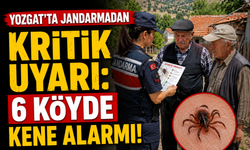 Yozgat’ta Jandarmadan Kritik Uyarı: 6 Köyde Kene Alarmı!