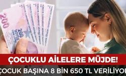 Çocuklu Ailelere 8.650 TL Destek Verilecek: Başvuru Şartları ve Detaylar Açıklandı